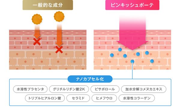 成分をナノカプセルに凝縮